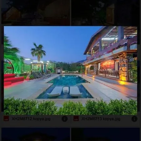Villa Asel